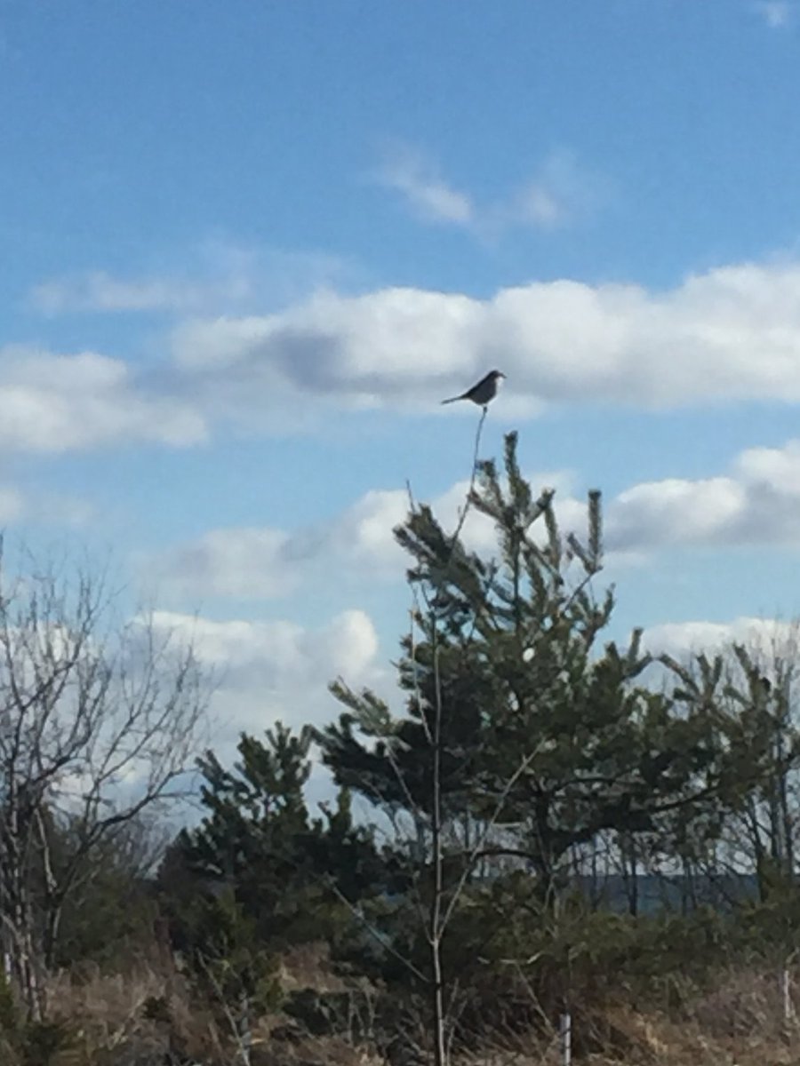 Michael Jacobs tweet media