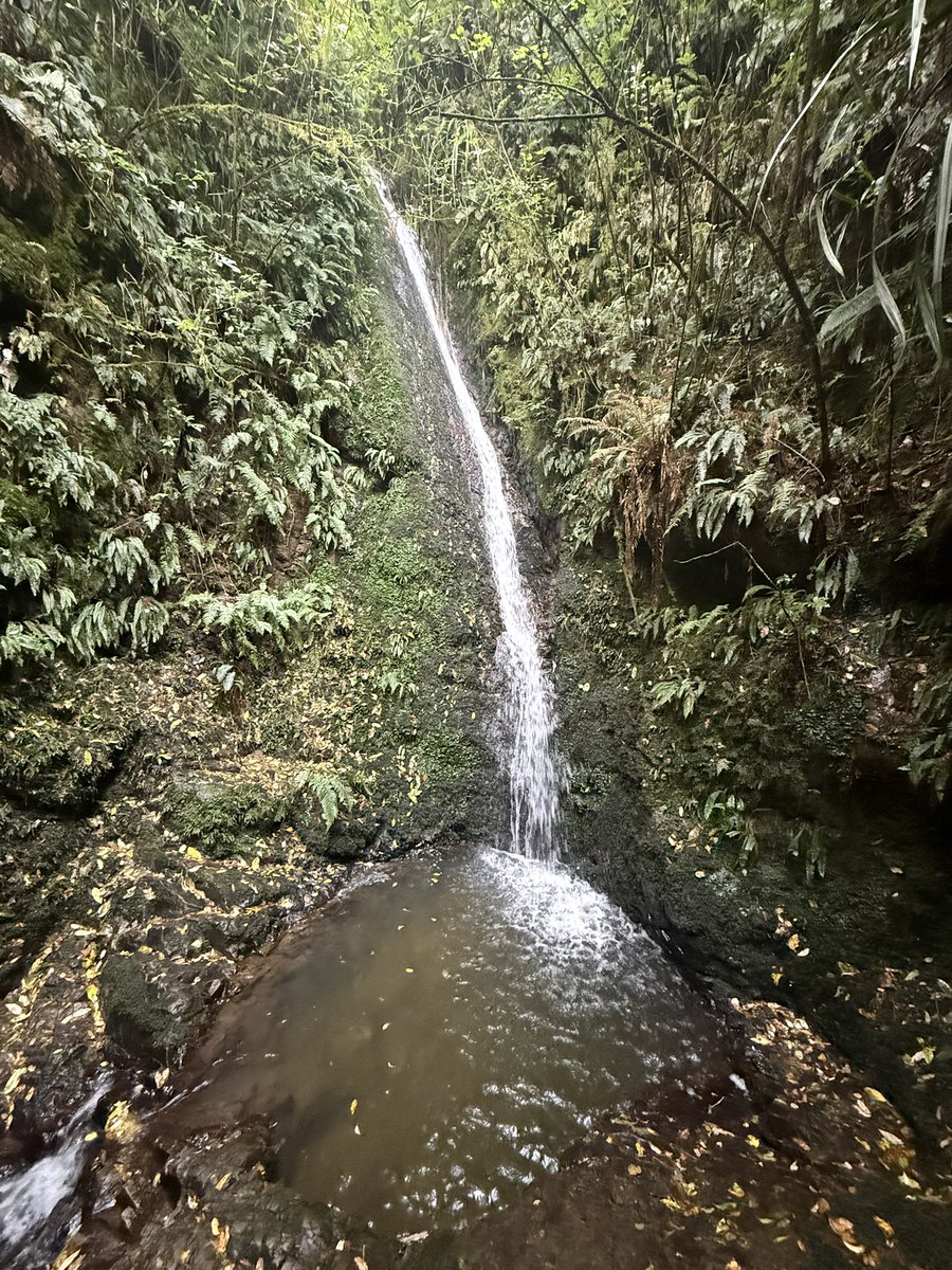 Oscar Ball tweet media