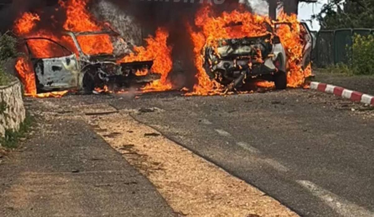 Jenny Havemann tweet media