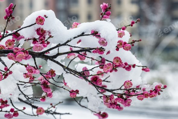 Fizzy AllsortsOfAllsorts tweet media