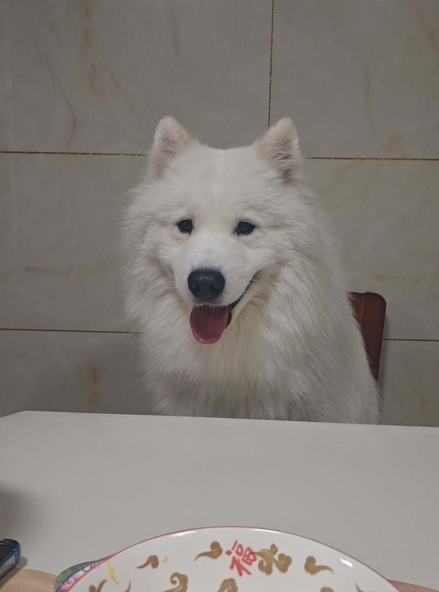 梦羽🪶（化蛹） tweet media