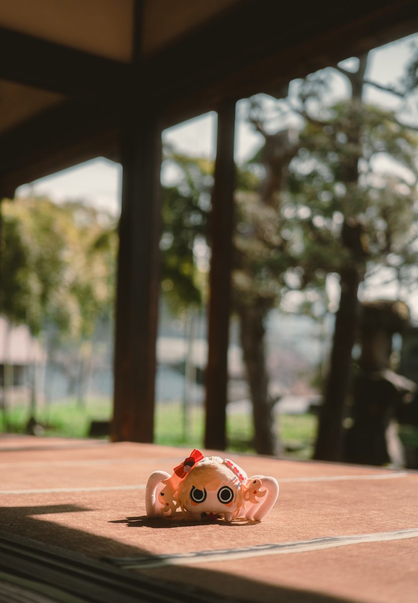 たきし tweet media