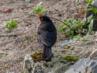 Bloglezer tweet media