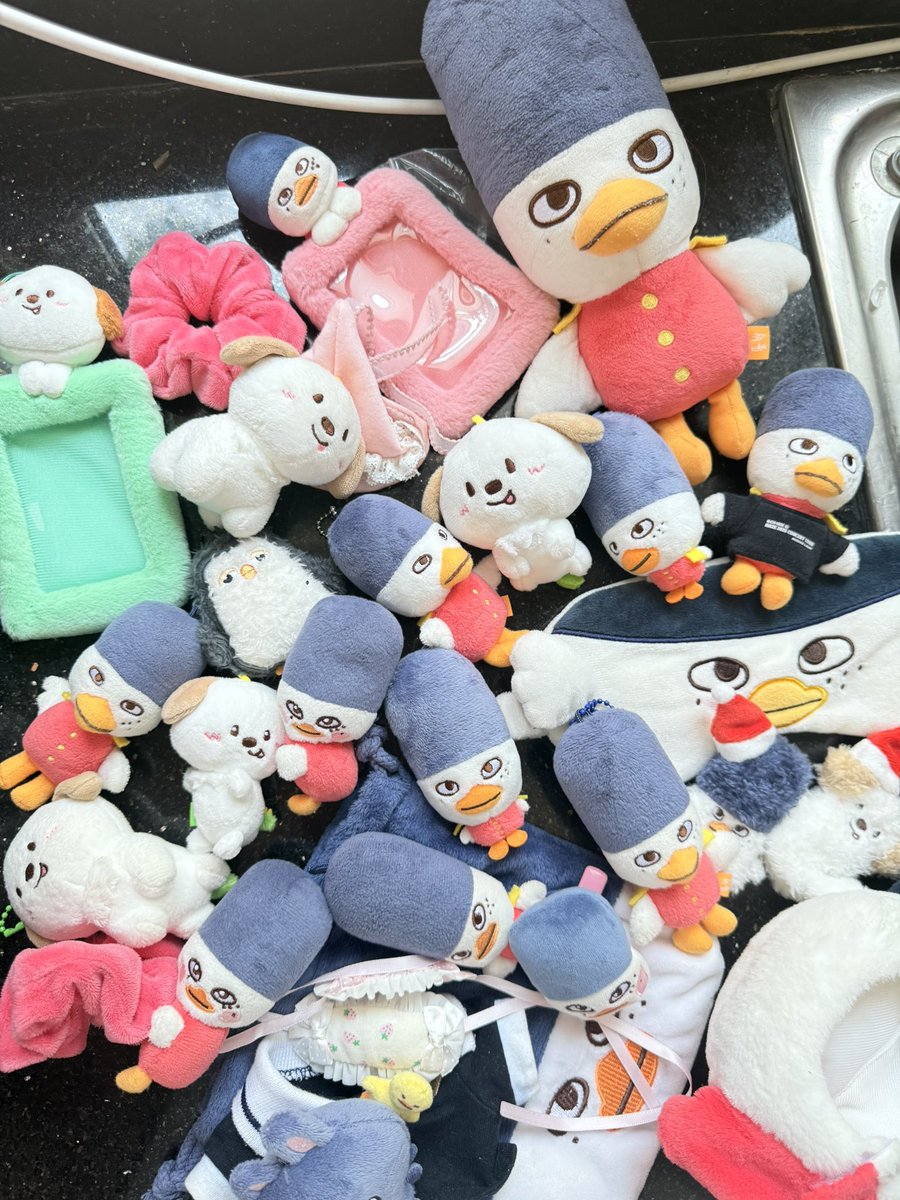 행복한 또리 🐣⭐️ tweet media