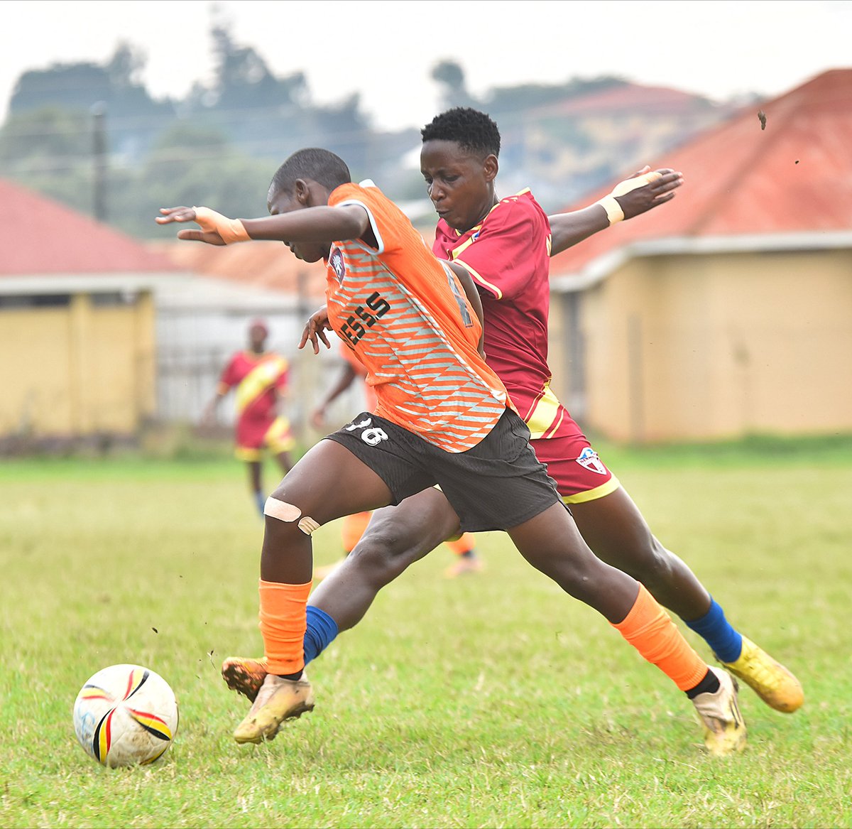 Rines S.S WFC tweet media