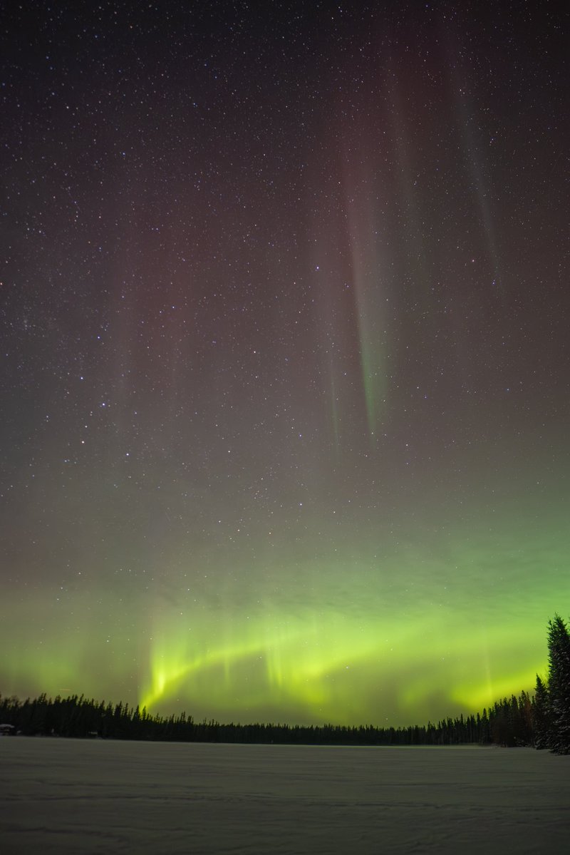 Jeremy Rand tweet media