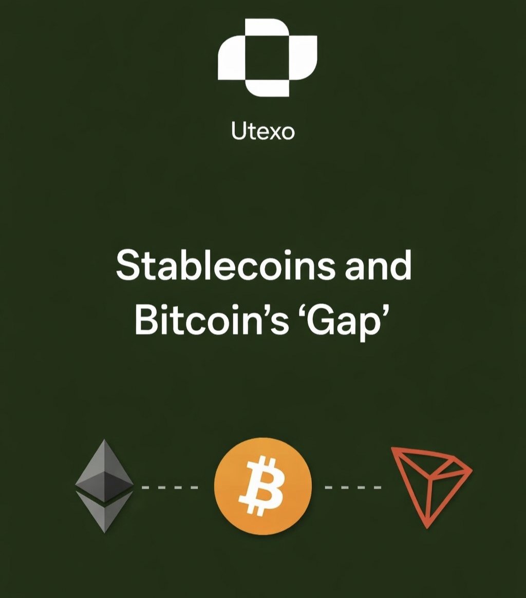 perry.somi tweet media