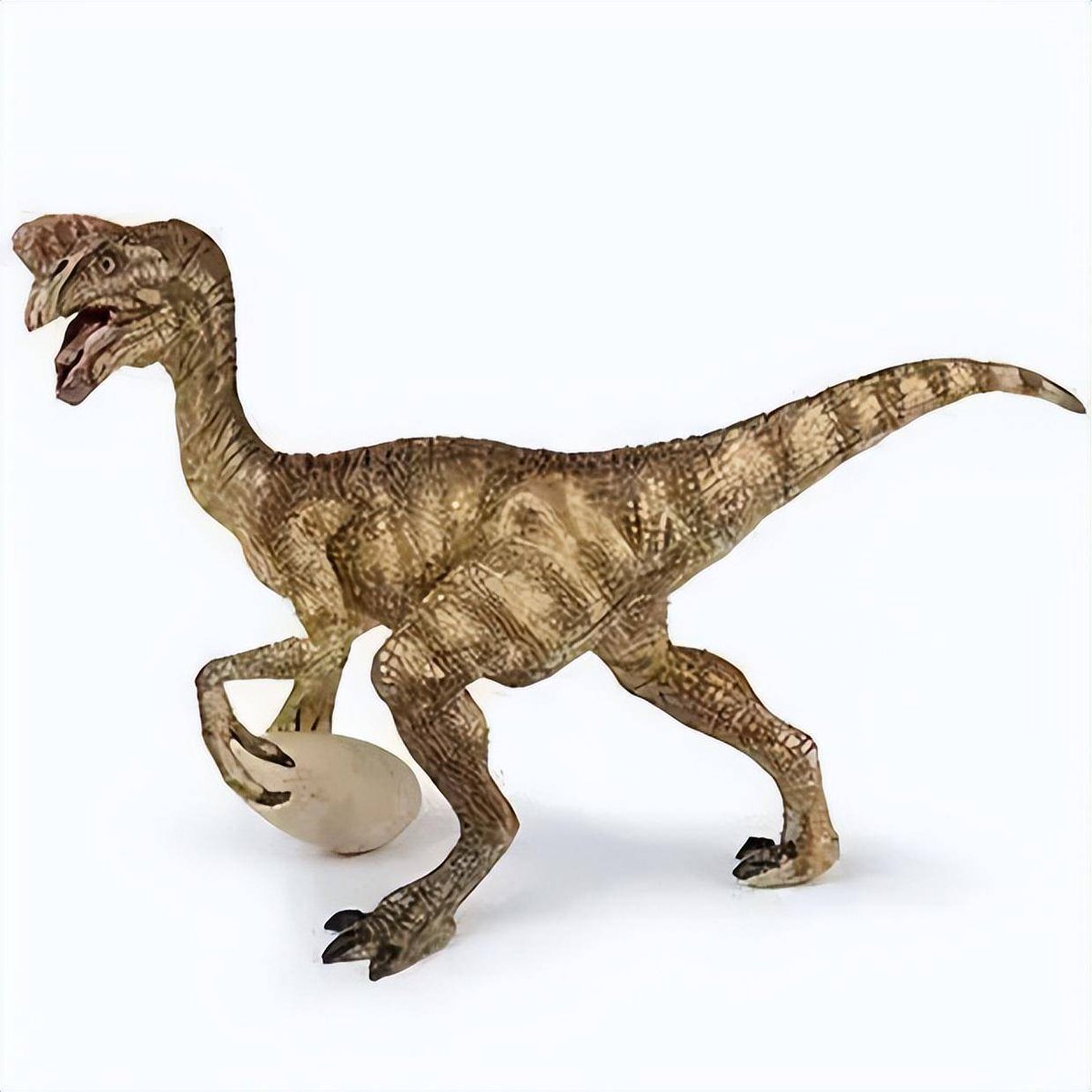 Dreamz Net Solutions tweet media