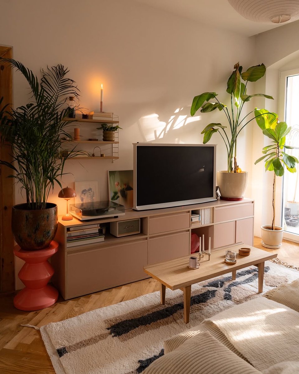 Mike senejoa tweet media