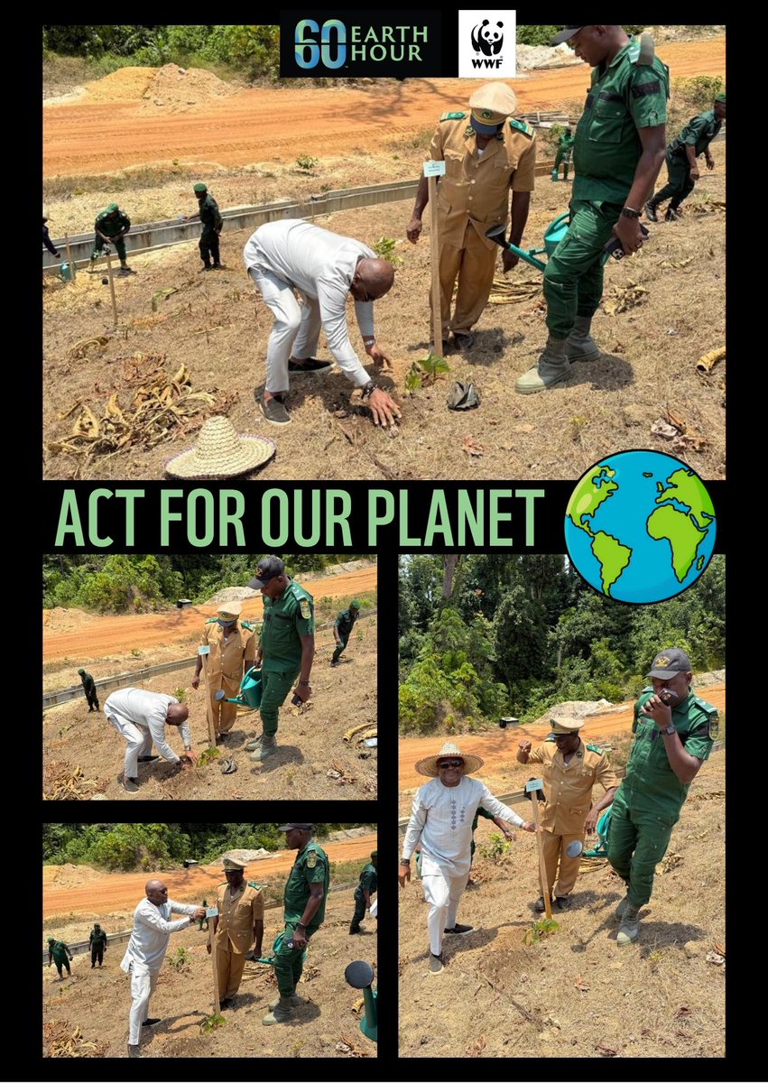 WWF CAMEROON tweet media