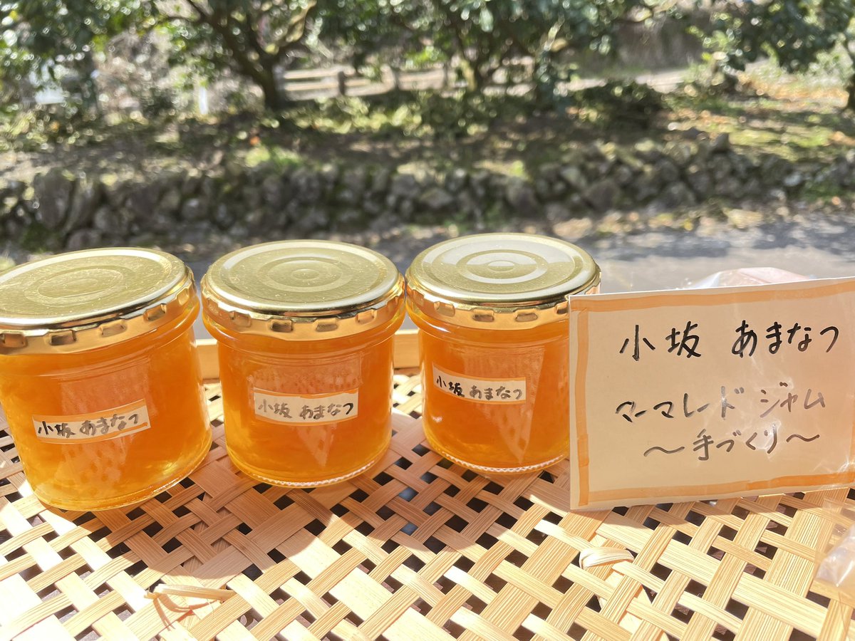 hinoeuma_ko's tweet photo. うちでとれた甘夏🍊
#小坂の甘夏
#甘夏マーマレードジャム https://t.co/nJFg25KB2x