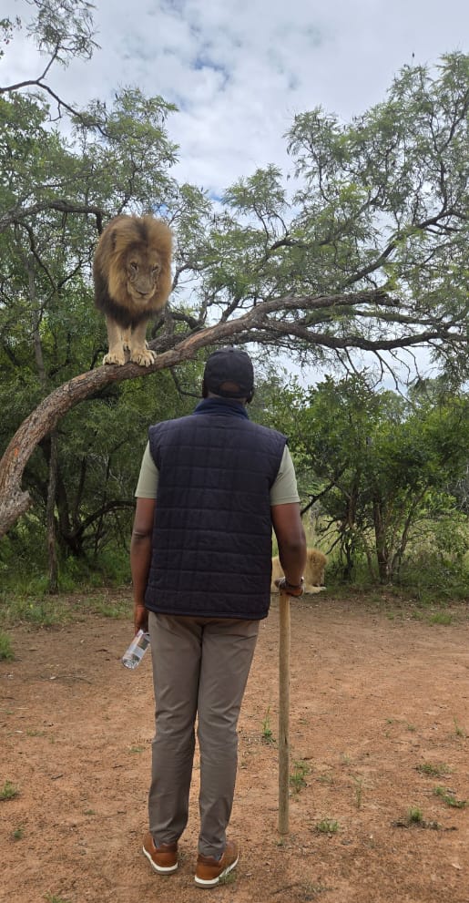 Ânalyst Émma 🇺🇬 tweet media