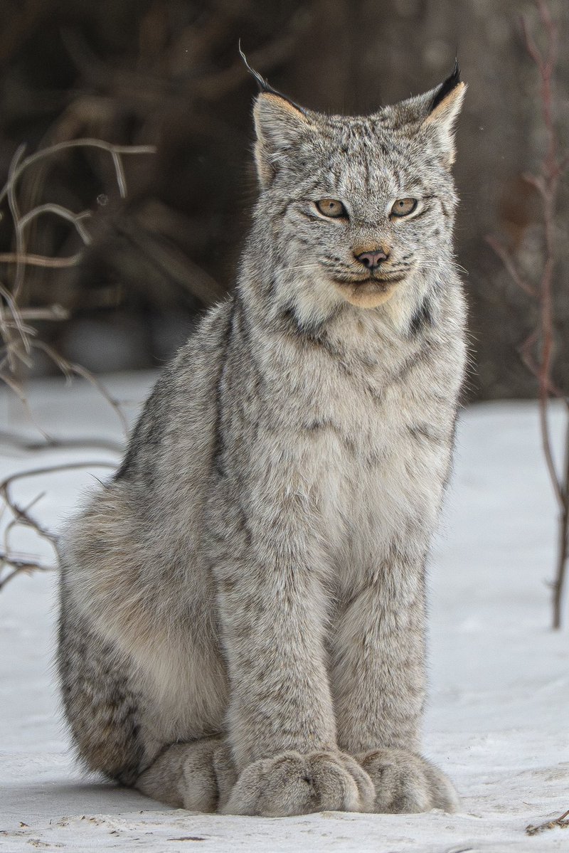 Jeremy Rand tweet media