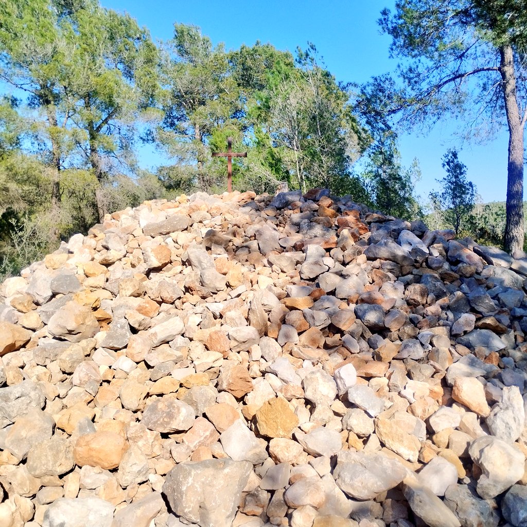 David Pujadó i Cercó tweet media