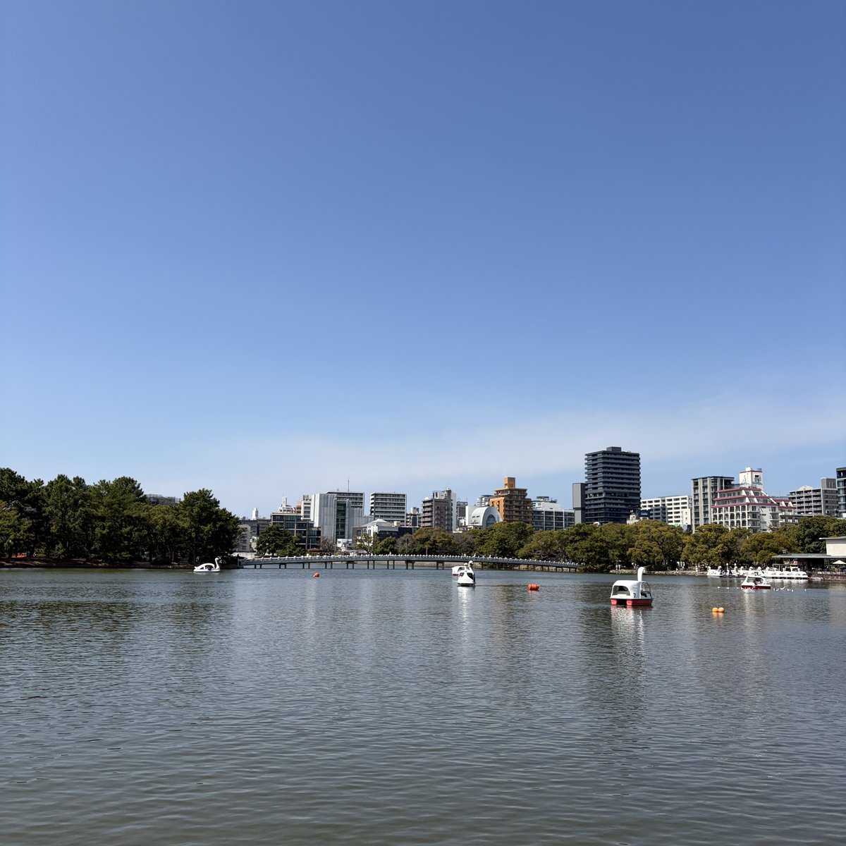 ✧*｡ 𝐉𝐞𝐰𝐞𝐥 ｡*✧ tweet media