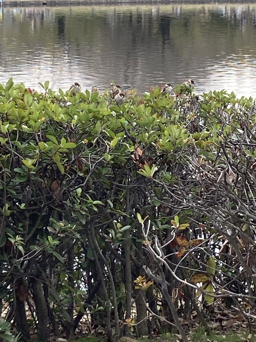 飴☕️ライター@えんとつ町のプペル観たよ tweet media