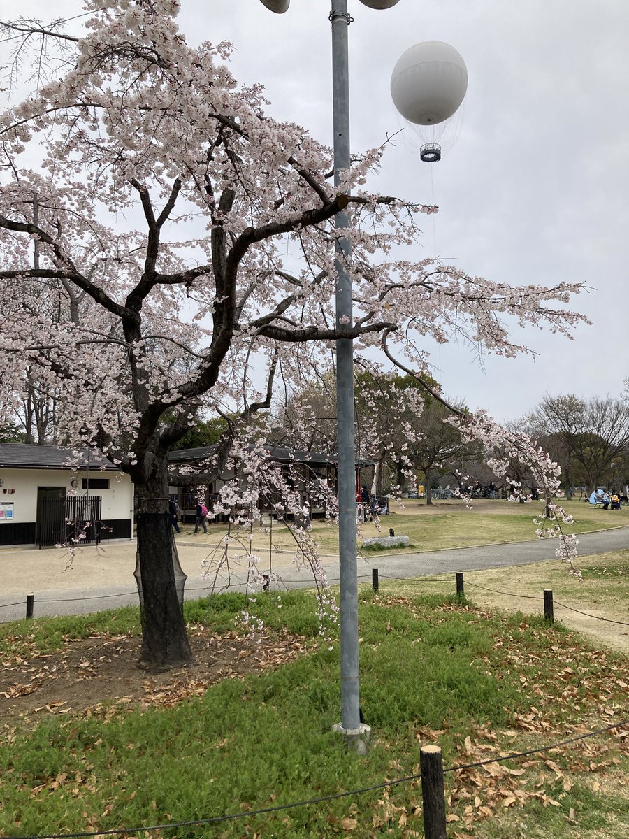 飴☕️ライター@えんとつ町のプペル観たよ tweet media