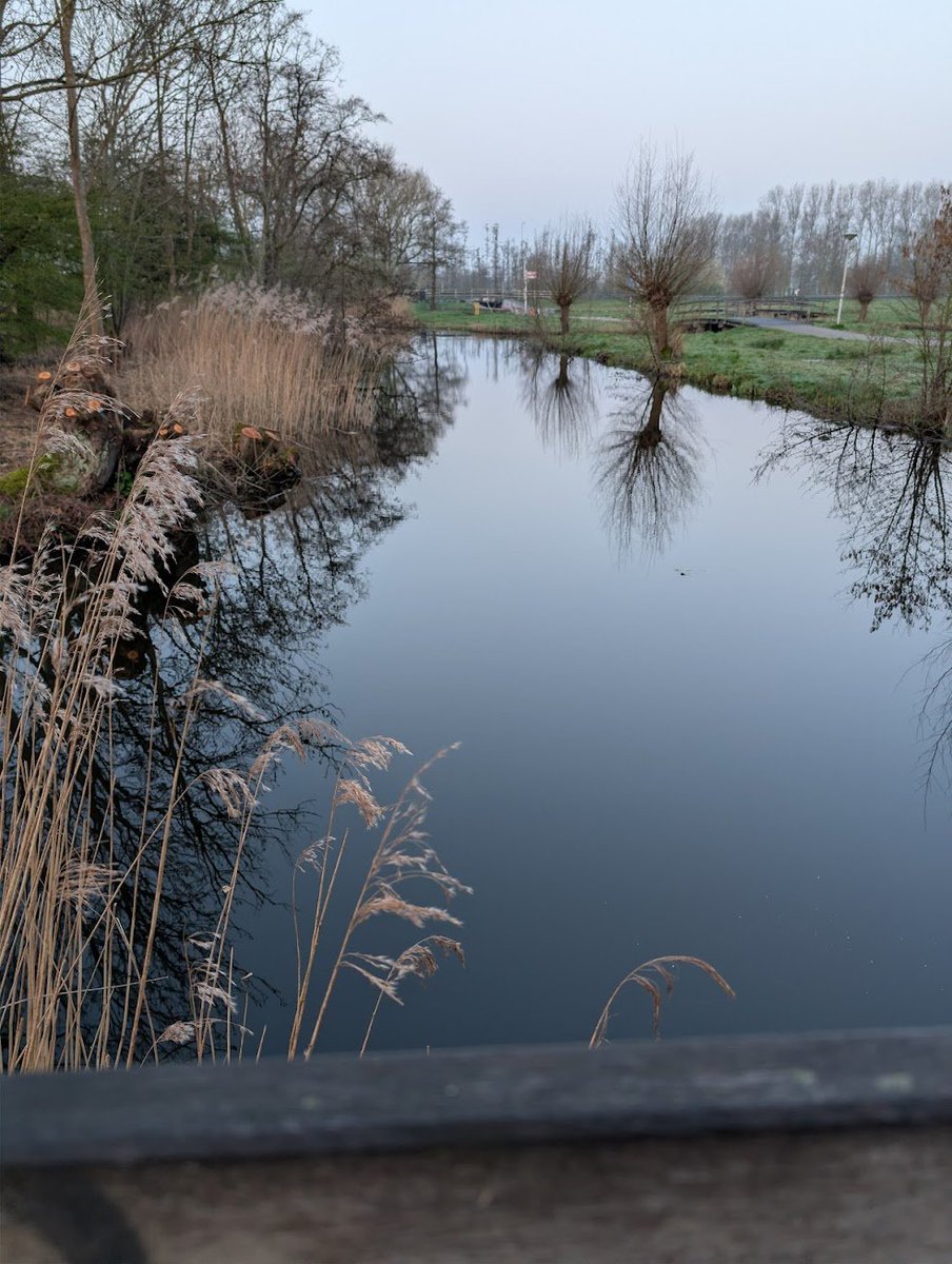 Ernst Jan Bos tweet media