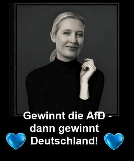 🇩🇪💙Mario Gallego Rodriguez🇩🇪💙 #Remigration tweet media