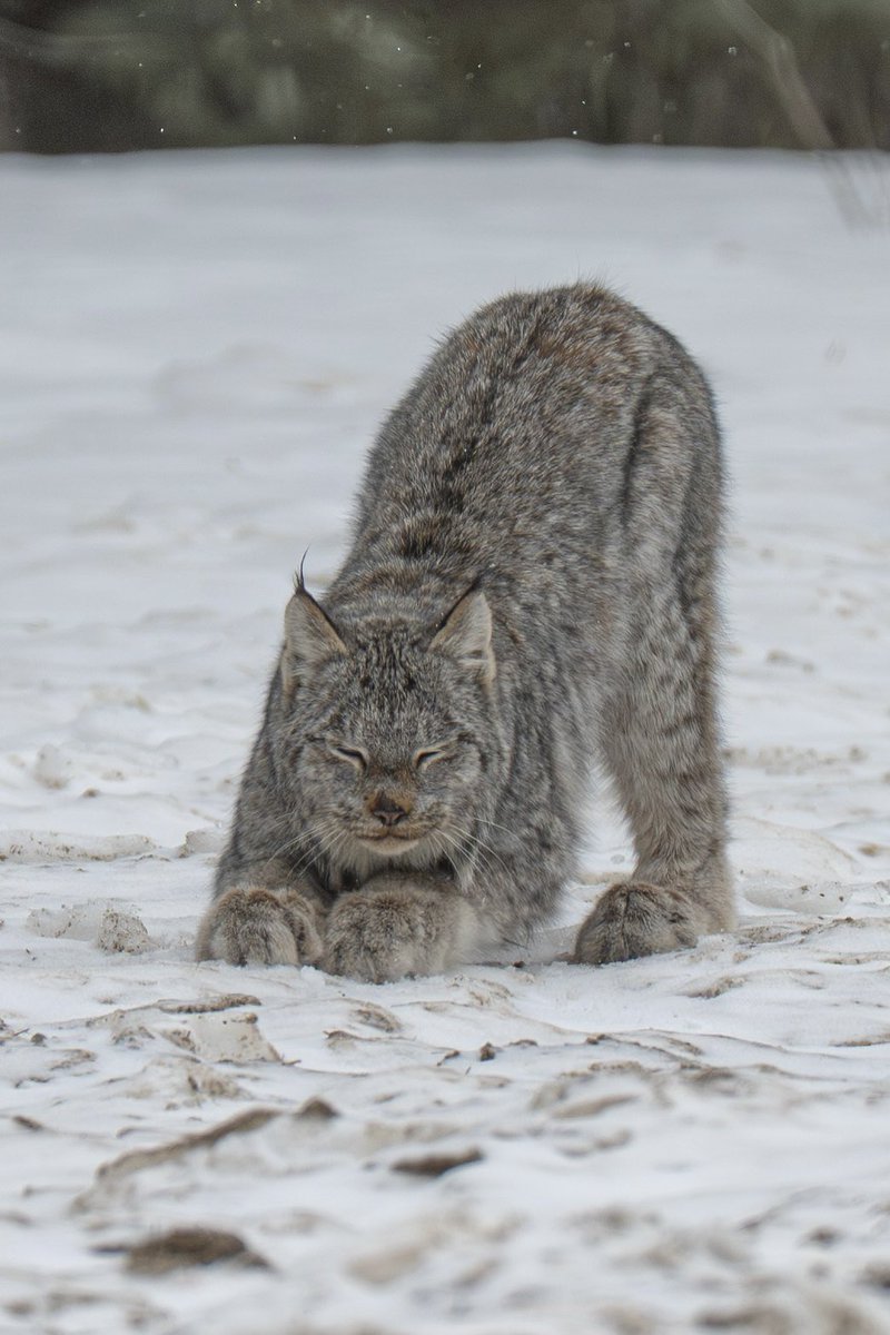 Jeremy Rand tweet media