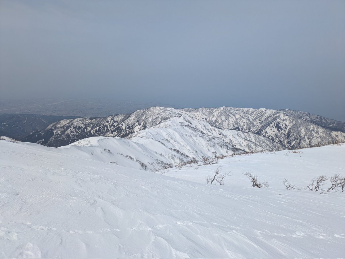 jump_trail's tweet photo. 初雪山（1,610m）、北尾根から往復。朝日岳、栂海新道が素晴らしい。1350mアップと一気に登り上げ、標高550mまで滑れました。いい山スキー・BCだったかな。 https://t.co/NSnSObYxDd