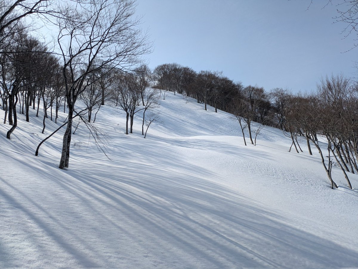 jump_trail's tweet photo. 初雪山（1,610m）、北尾根から往復。朝日岳、栂海新道が素晴らしい。1350mアップと一気に登り上げ、標高550mまで滑れました。いい山スキー・BCだったかな。 https://t.co/NSnSObYxDd