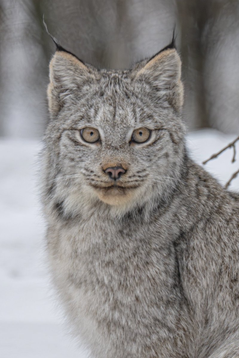 Jeremy Rand tweet media