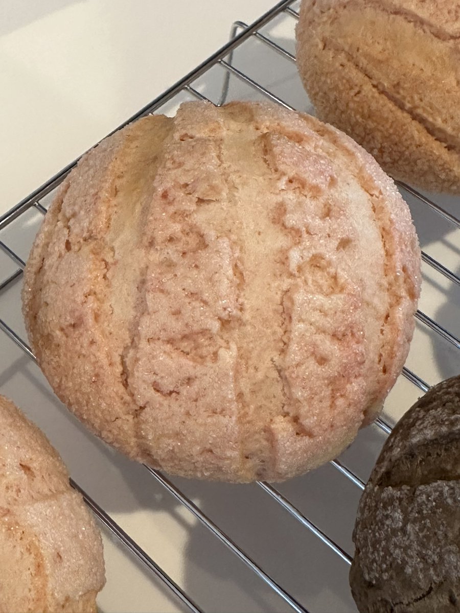 パンをこねるねこのて🐱🥖 tweet media