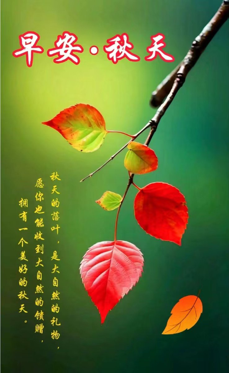 Dianne Robinson tweet media