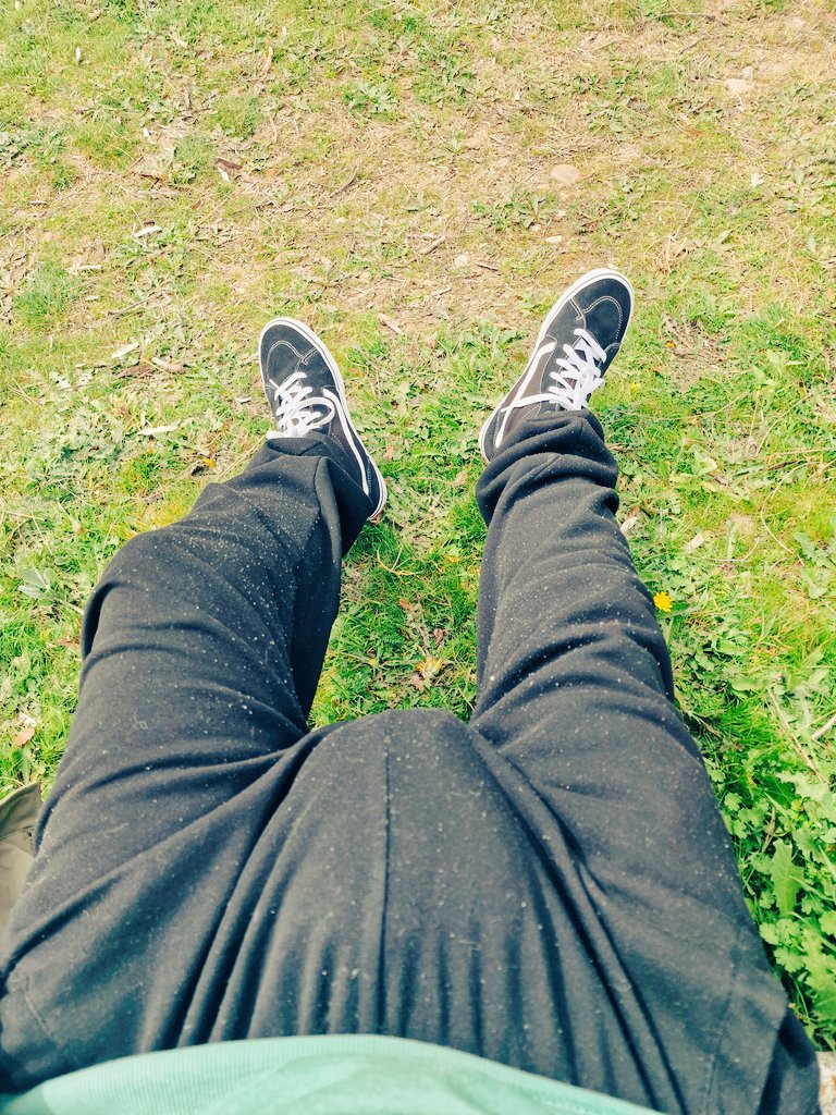 HugePuppy tweet media