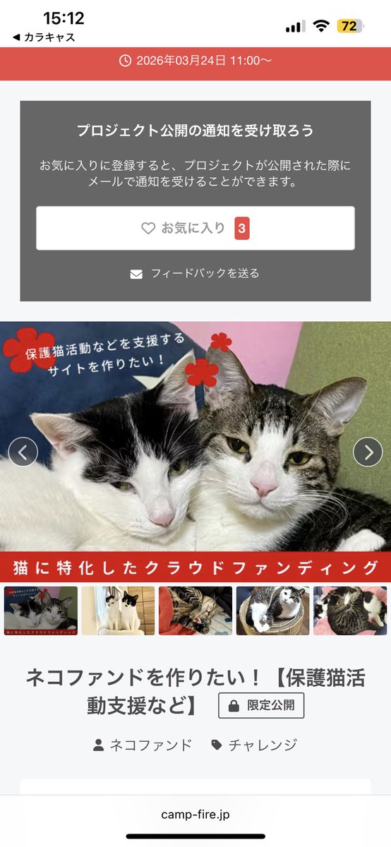 yozzeko's tweet photo. ネコ様ってほんと癒されるよね😽
私はついネコ様のお顔見るとあれ？知り合い？ってなります👀
ついに火曜日に公開だよ🐈‍⬛
保護猫ちゃんたちが幸せに暮らせますようにご協力お願いします🙏
保護猫支援を目的としたクラファンが3月24日（火）からスタート✨✨
リターンには「FOUR-FOODSさんのフード」が設定されてます🐈
嗜好性の高い猫ちゃんにもしっかり伝わる💪
FOUR-FOODSのフリーズドライ（犬・猫用）の原料は食肉用ささみ、レバー、むね肉を使用💖
作業工程と⼯場も食用品質⽔準を追求したヒューマングレードの一品😻
安心・安全・無添加が嬉しいね☺️

公開されたら通知が届くように、クラファンのお気に入りにチェックです✅

https://t.co/NunW2z76dt 
https://t.co/qZFFRhLHay

#クラファン #保護猫 #地域猫 #猫 #カラキャス