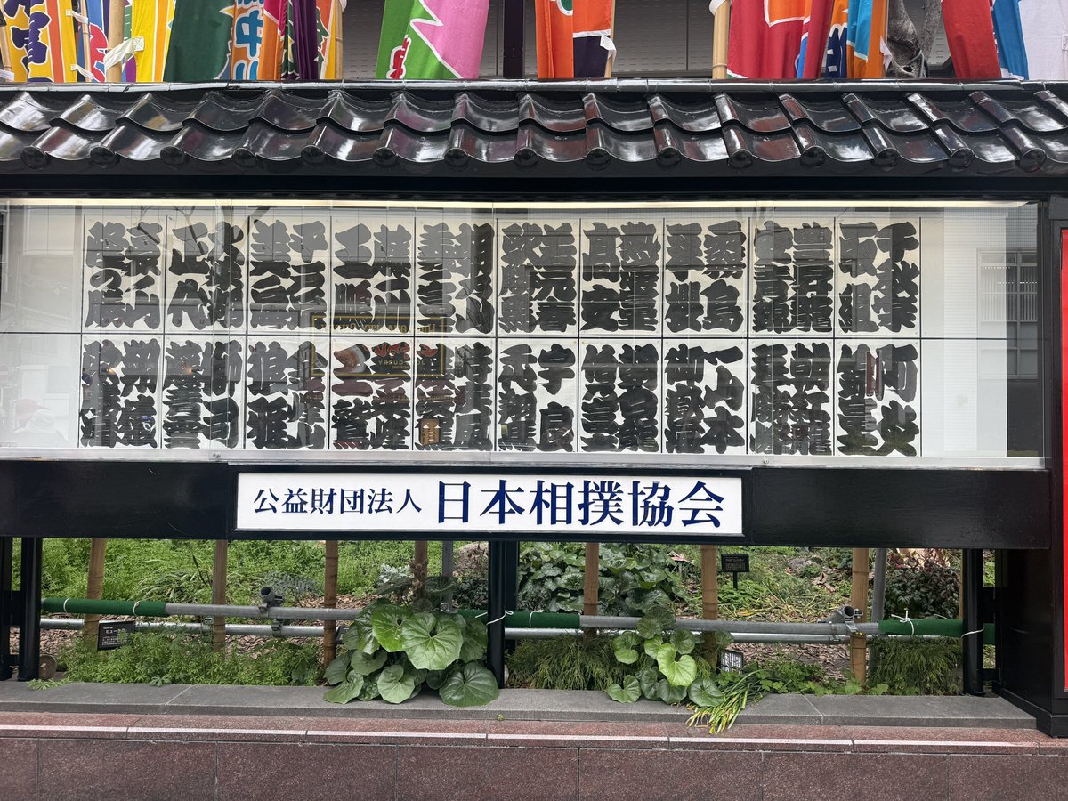 🌝 ルナ tweet media