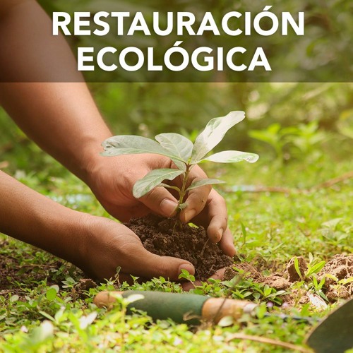 Solicitud para incluir lugares naturales degradados en el Plan Nacional de Restauración Ecológica.
Podéis solicitar la recuperación de ecosistemas de #Moralzarzal: 
✅️ Planta RCD
✅️ Escombrera Samburiel
✅️ Vertedero Encinilla
 forma.administracionelectronica.gob.es/form/open/corp…

Cierra el 31 de marzo