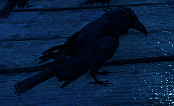 Sandra Fikes tweet media