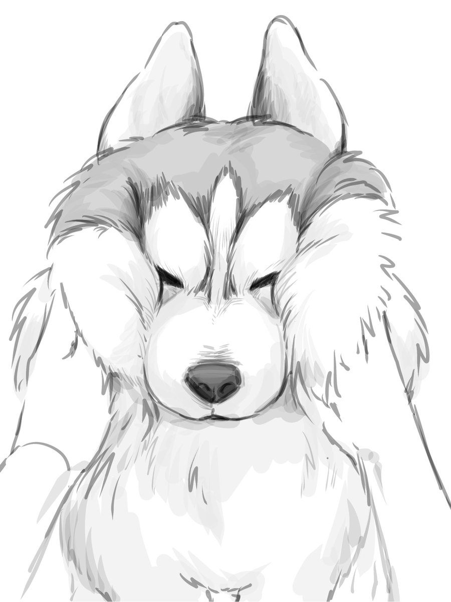 仮眠ぐすーん (@u3d6md) on Twitter photo 