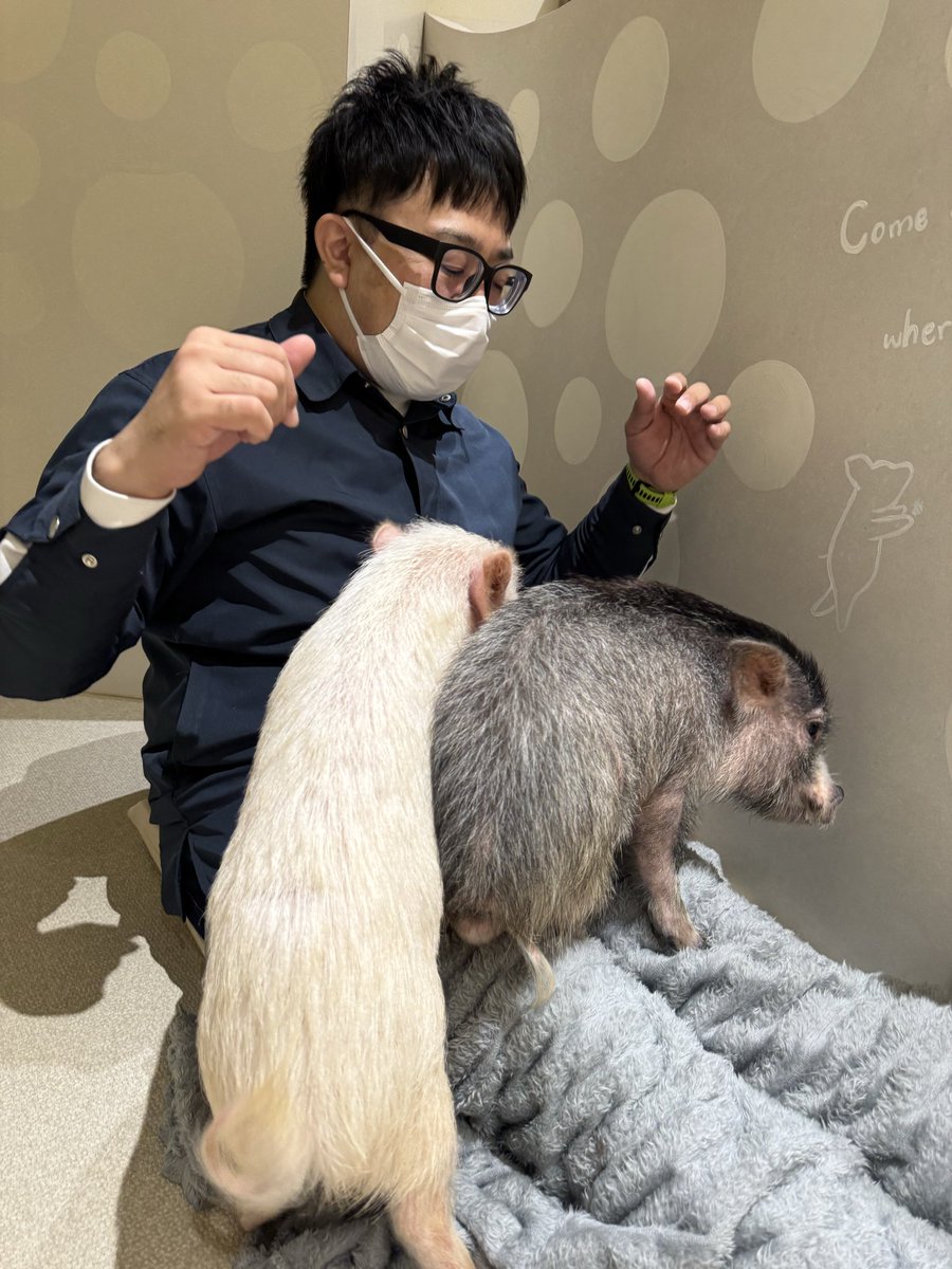 ハルカワ ニナ tweet media