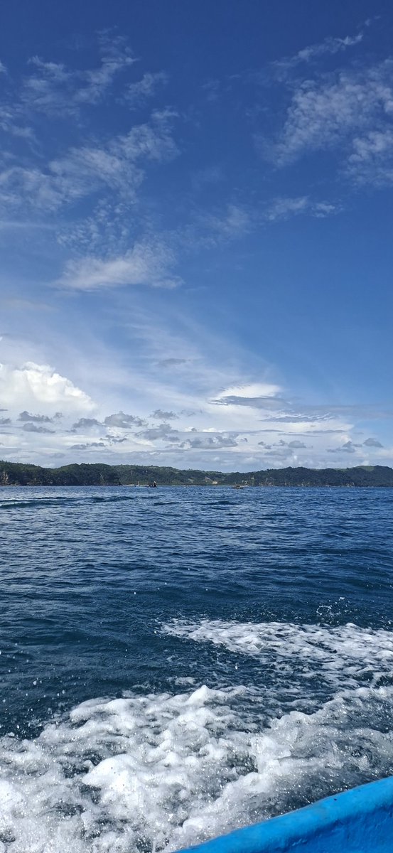 ͏ ͏ ͏ tweet media