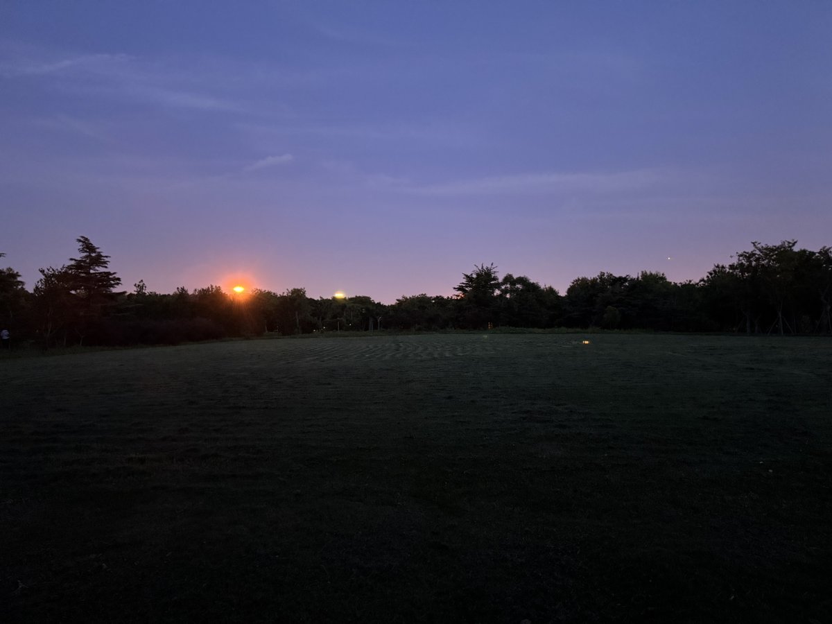 olidaviana blanco tweet media