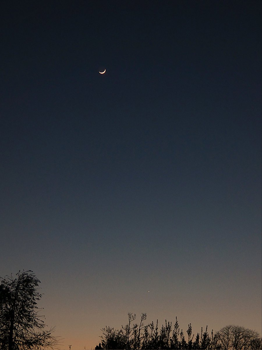 Peter Lewis tweet media