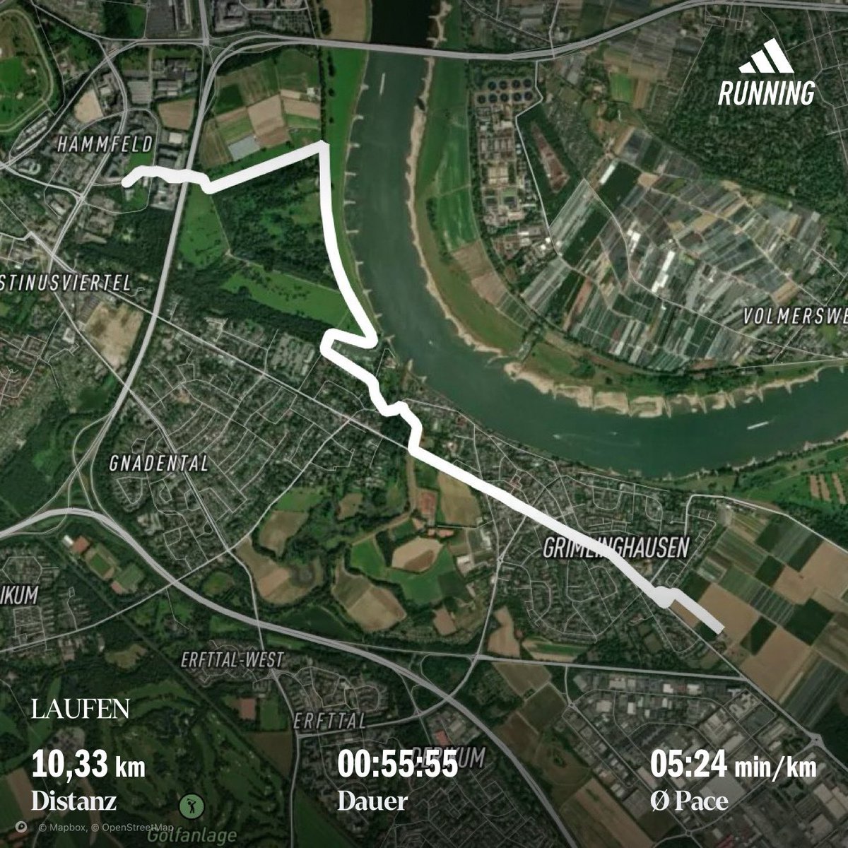 Daniel (DM) tweet media