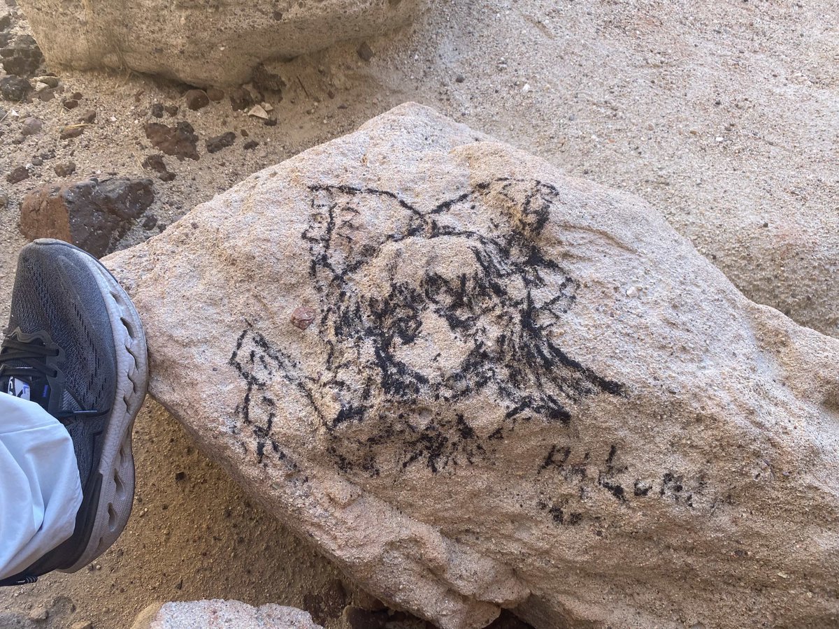 🇪 🇩 🇿_🎨 tweet media