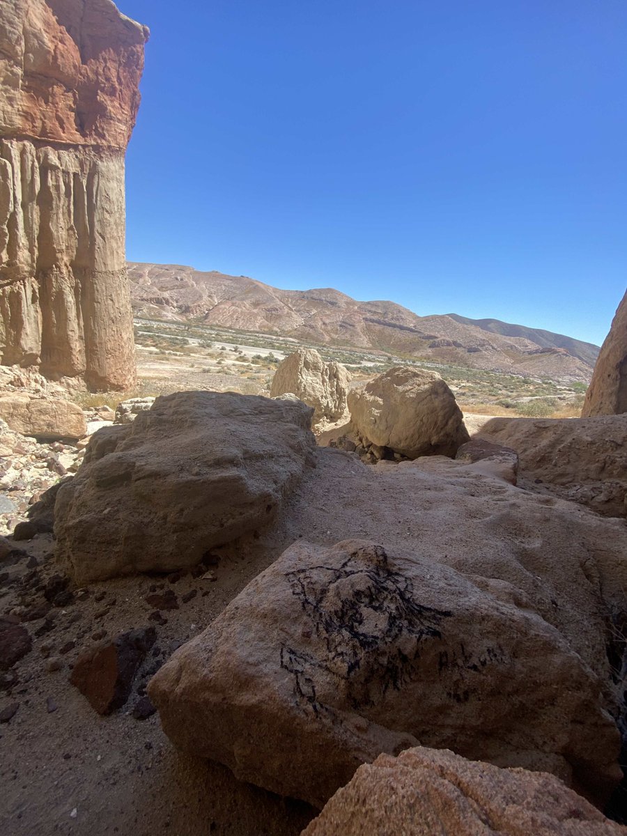 🇪 🇩 🇿_🎨 tweet media