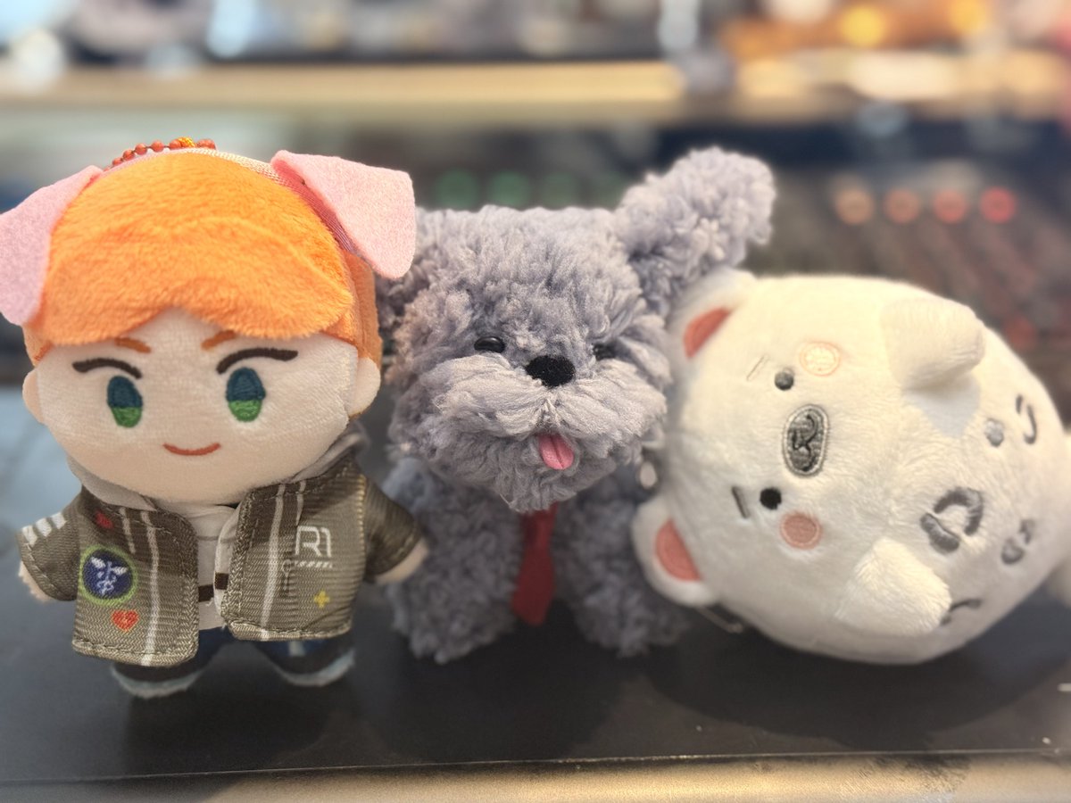 毛熊｜𝗛𝗔𝗭 tweet media