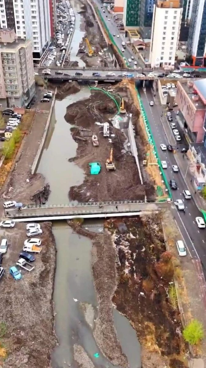 Punsaa Dulamsuren tweet media