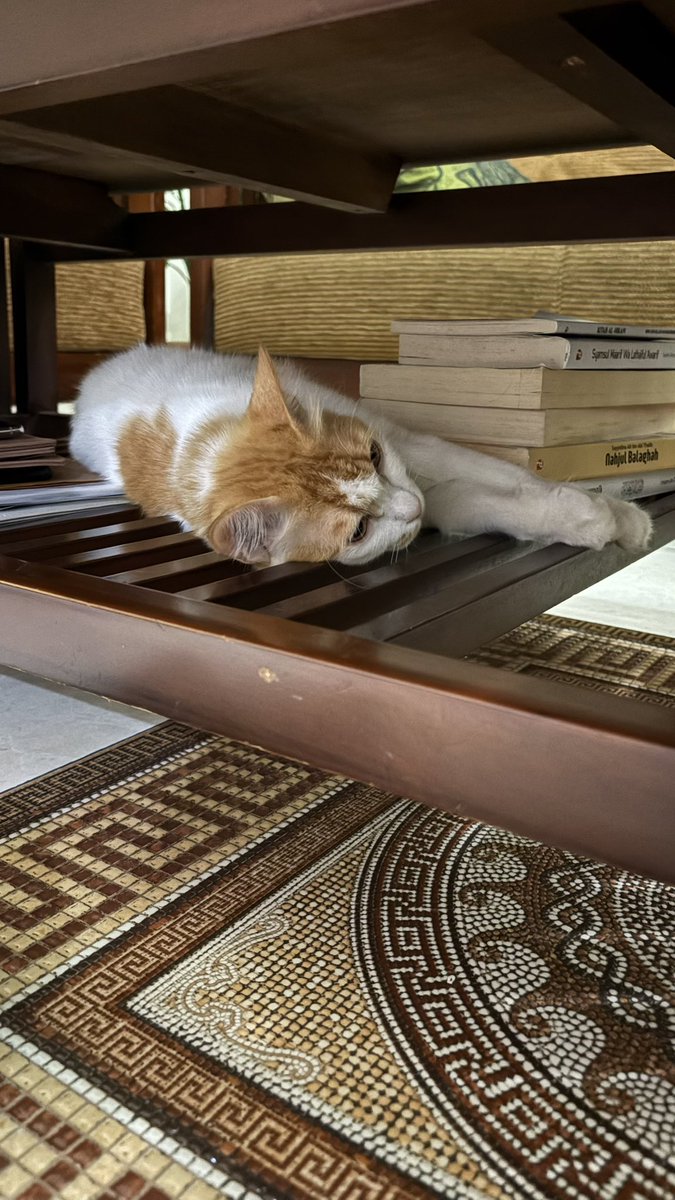 caca 🍣 tweet media