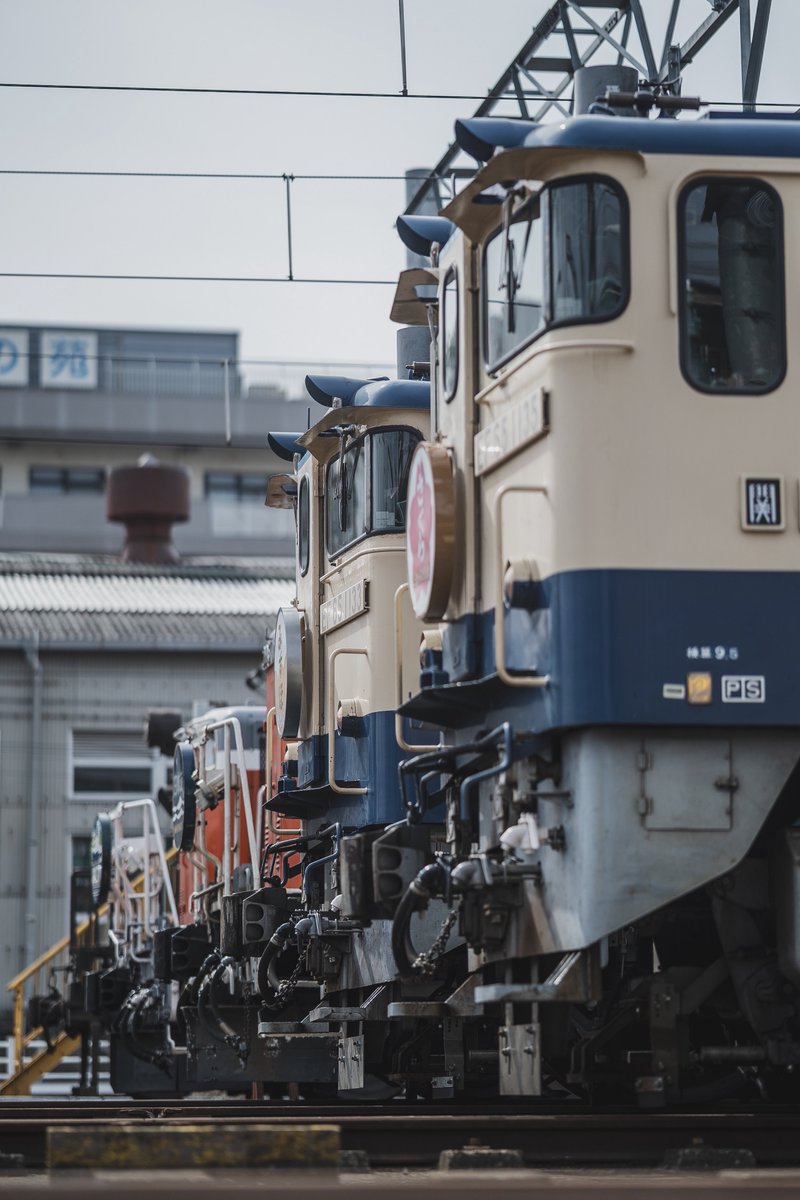 のっぽ tweet media