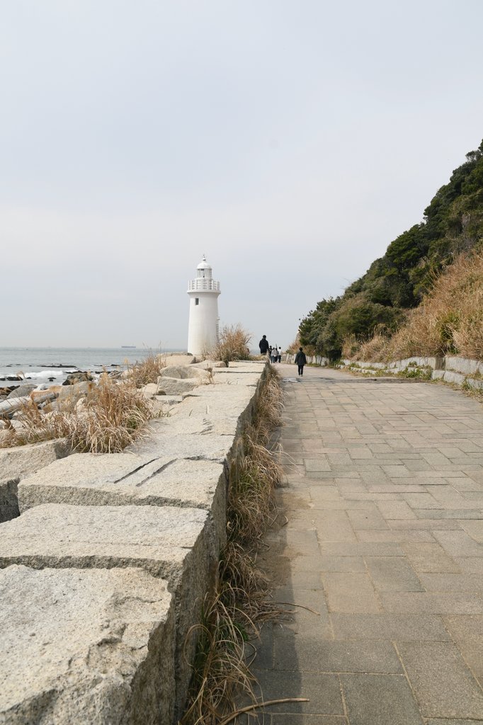 かずちゃんさん tweet media