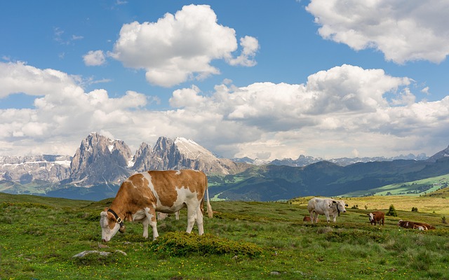 Joe Keller tweet media