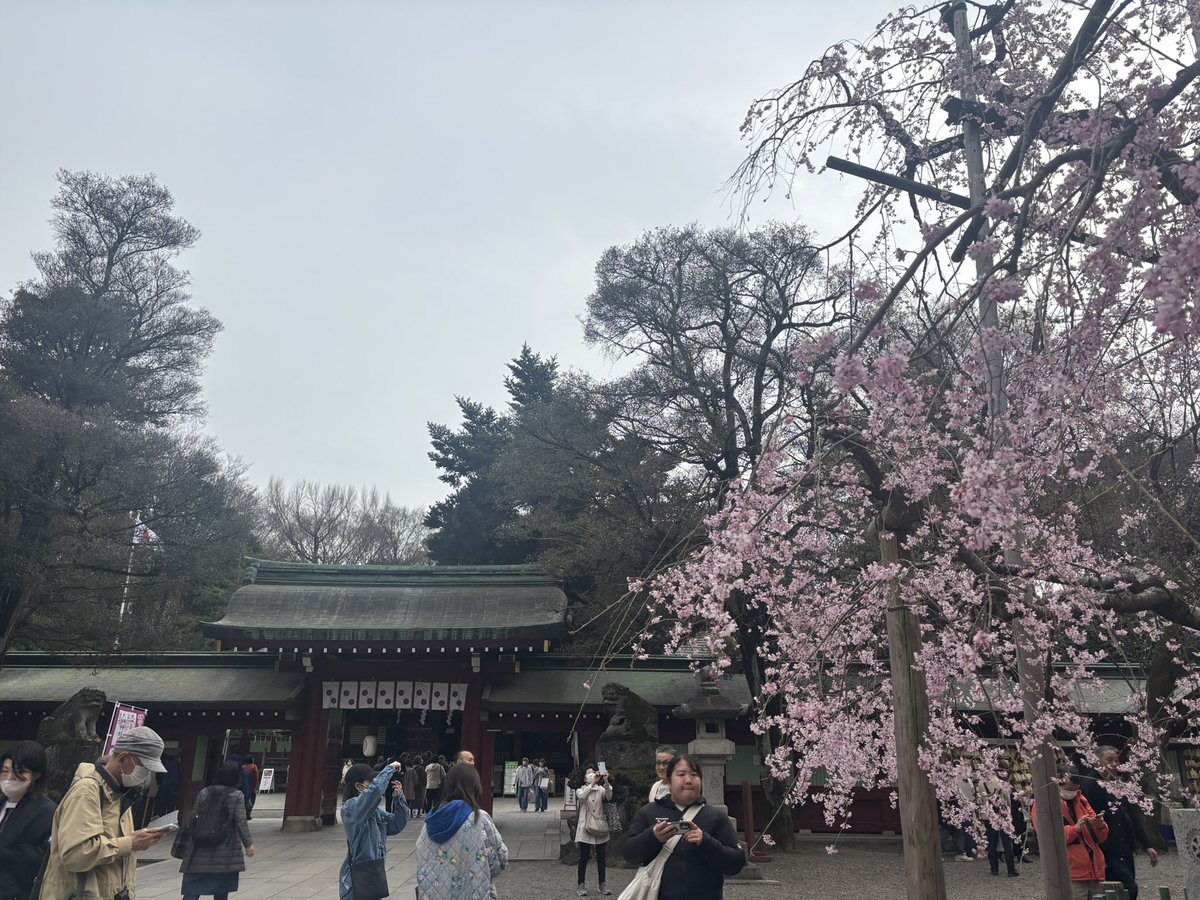 🍗ゆうゆ＠365日増量期🍗 tweet media