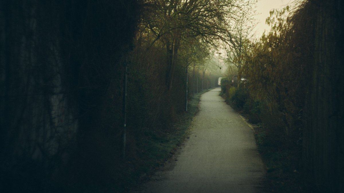 Michael | Förtsch 🛰️ tweet media